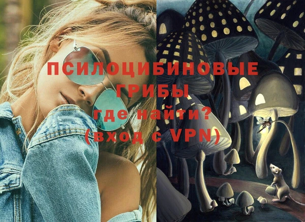 прущие грибы Лиски