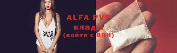прущие грибы Лиски