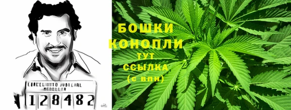 сатива Майский